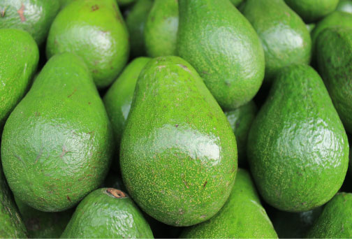 Aguacate internacional